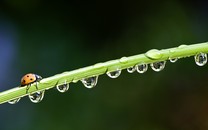 分時段限行！京禮高速世園會專用道五一啟用