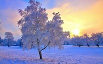 暴雪策劃工資太好賺?玩家創(chuàng)意直接拿來用,居然還把這款...