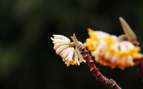 總嫌家里空間不夠大？這樣布局1平米都不浪費