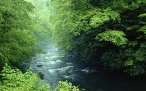 重磅：樂居家居推出“家居全民購”營銷平臺