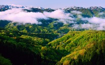 有庫里味道了！特雷楊本賽季超遠三分集錦