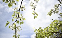 4月份，感情運勢上升的星座，桃花纏身，舊愛歸來，有望重溫舊夢