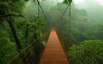 北京：黃花城長城山花爛漫春景如畫