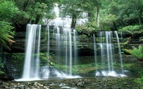 神吐槽：女童高空扔蘋果砸癱女嬰被判賠185萬，高空的蘋果毀了兩家人！