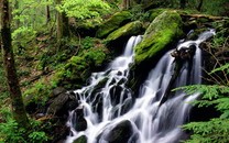 別惹我！盤點動 物怒視表情包 生起氣來自己都害怕