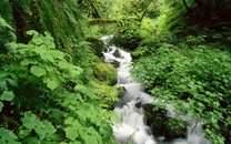 北京市屬公園首次報(bào)送“旅游黑名單”