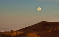 爺爺叫夏天，爸爸叫夏日，孫子的名字笑翻戶籍民警：再想想？