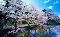 北京今日陰天有陣雨 明日冷空氣抵達(dá)天晴氣溫降