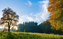 中國野生鳥類攝影行為規范倡議