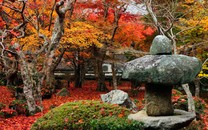 收藏日本神社識別指南 秒變旅游達人