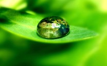 海棠花溪：繁花似錦，正是一年花好時