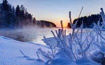 王雪偉：指數縮量回踩周一低點，控制倉位抓結構機會