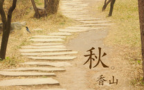 中學(xué)統(tǒng)計(jì)學(xué)生家長(zhǎng)任職情況 區(qū)教育局：將叫停