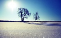 感覺自己睡了假覺？同日兩篇Nature：首次揭示褪黑素的受體結構