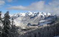 住百年石屋的6旬“山大王”，幾根木頭做樓梯，靠養(yǎng)牛送倆兒下山