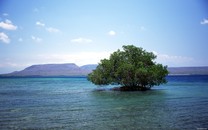 朝陽增宅地 石景山添新盤