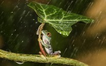 皖南古城歙縣連降春雨