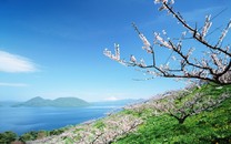 浙江紹興:古城迎來了春雨