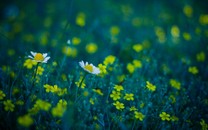 600年不下雨的花園城市