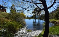 緬甸最危險(xiǎn)節(jié)日：熱氣球滿載煙花爆炸，民眾抱頭鼠竄卻興高采烈