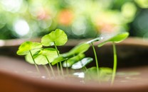 A爆了！周雨彤上海街拍氣場十足