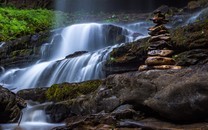 財氣雖淺，福氣蠻厚的生肖