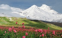 去曼谷乘船旅游，船種票價碼頭全解析，順游河畔景點也不迷路