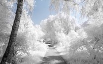 分時(shí)段限行！京禮高速世園會專用道五一啟用