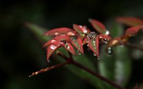 二度揚帆出海的昆蟲無雙——《地球防衛(wèi)軍：鐵雨》評測