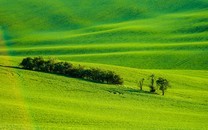 《丸霸無雙》游戲背景