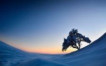 王雪偉：指數(shù)縮量回踩周一低點，控制倉位抓結構機會